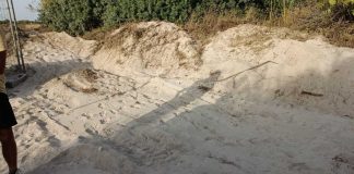 Movimentata e spianata una porzione di duna nel Parco Litorale di Ugento: due denunce
