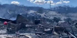 Le fiamme mettono in ginocchio Gallipoli: vasto incendio tra Padula Bianca e Rivabella
