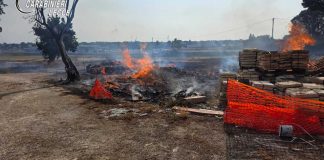 Sorpreso ad appiccare un fuoco in Salento, arrestato 57enne