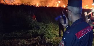Incendi dolosi e verde devastato: al 28 luglio sono già 8 le denunce e 3 gli arresti