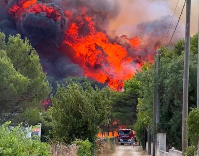 incendio gallipoli