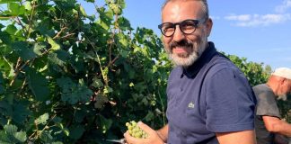Vendemmia 2026, Paolicelli a Leverano per il primo taglio dell’uva