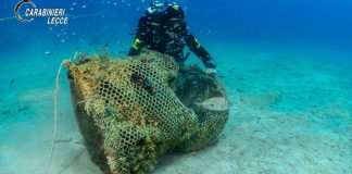 Tutela della fauna marina: i Carabinieri recuperano numerose reti a strascico