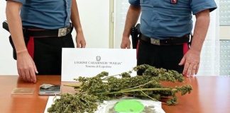 Già ai domiciliari viene sorpreso con 300 grammi di marijuana, arrestato