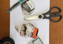Cocaina, armi, hashish: 25enne arrestato a Veglie, 20enne a Melendugno
