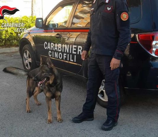 Sequestro di droga a Melendugno e Borgagne: ai domiciliari un 24enne ed un 23enne