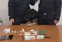 Due arresti nel Leccese: uno per furto, l’altro per detenzione ai fini di spaccio