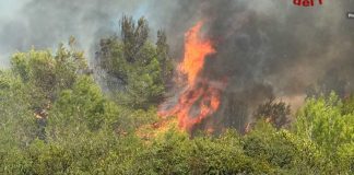 Incendio di vegetazione in zona Fondone: vigili del fuoco al lavoro con l’ausilio di Canadair
